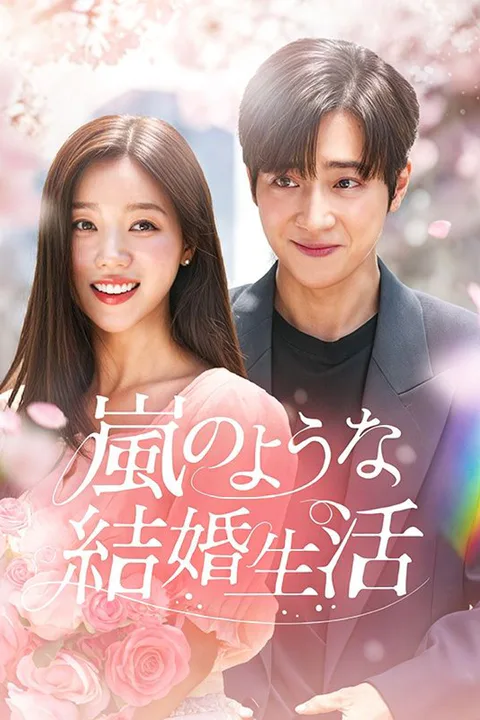 嵐のような結婚生活のポスター