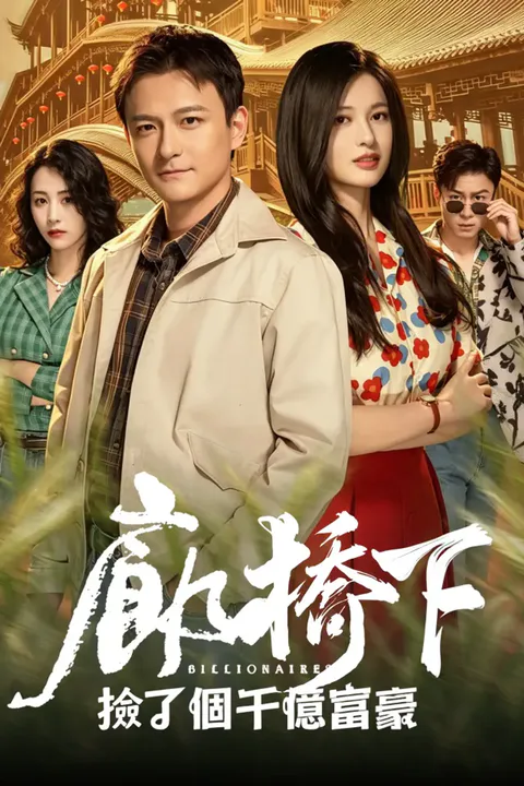 《廊橋下撿了個千億富豪》海報