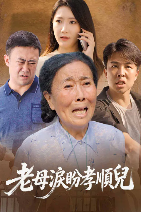 《老母淚盼孝順兒》海報