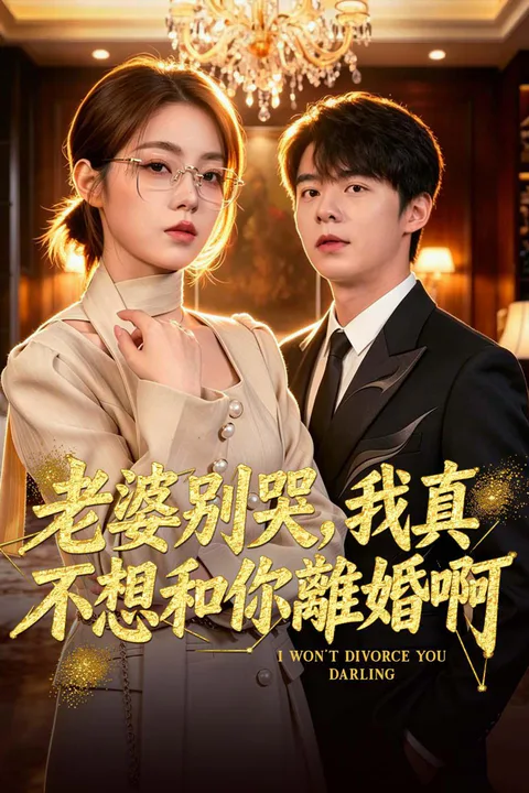 《老婆別哭，我真不想和你離婚啊》海報