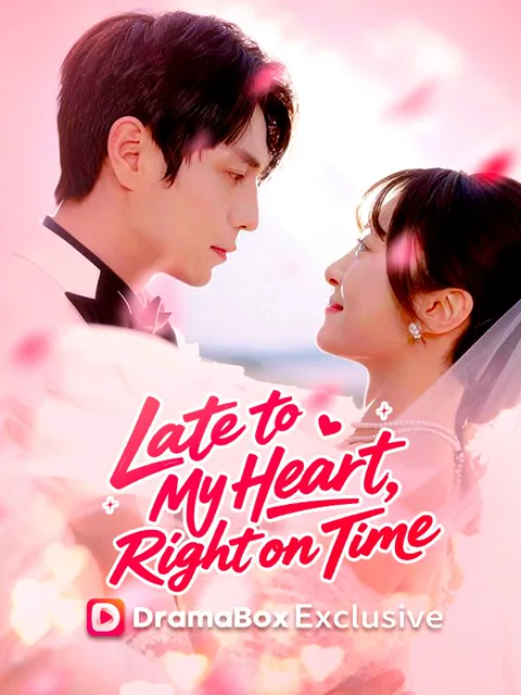 Late to My Heart, Right on Time (DUBBED) poster