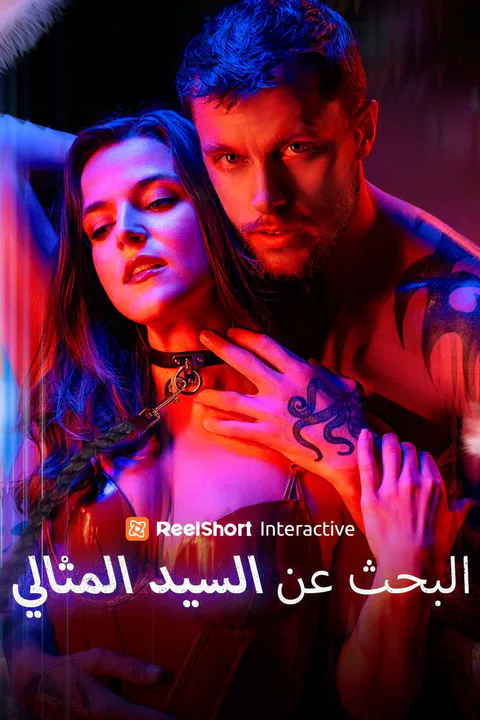 ملصق البحث عن السيد المثالي
