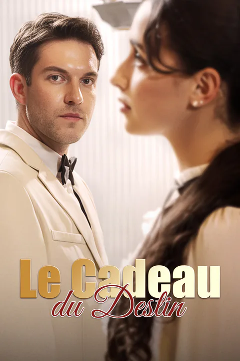 Affiche du Cadeau du Destin