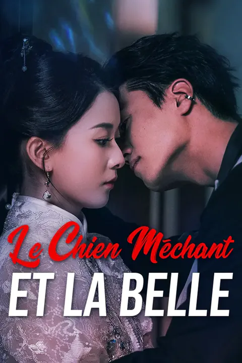 Affiche du Chien Méchant et la Belle