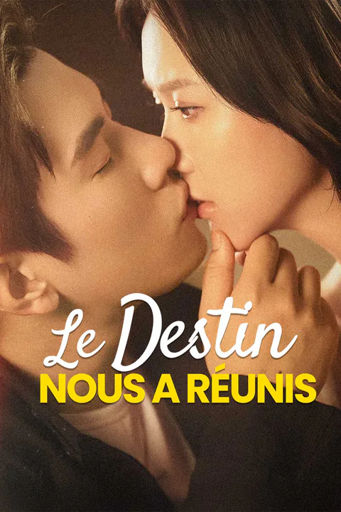 Affiche du Destin nous a Réunis