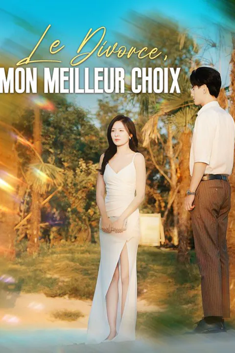Affiche du Divorce, Mon Meilleur Choix