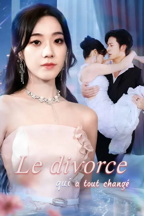 Affiche du divorce qui a tout changé