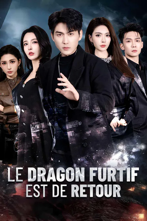 Affiche du Dragon Furtif Est De Retour