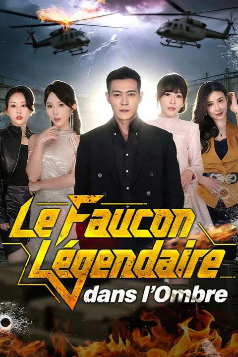 Affiche du Faucon Légendaire dans l'Ombre