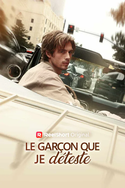 Affiche du Garçon que je déteste