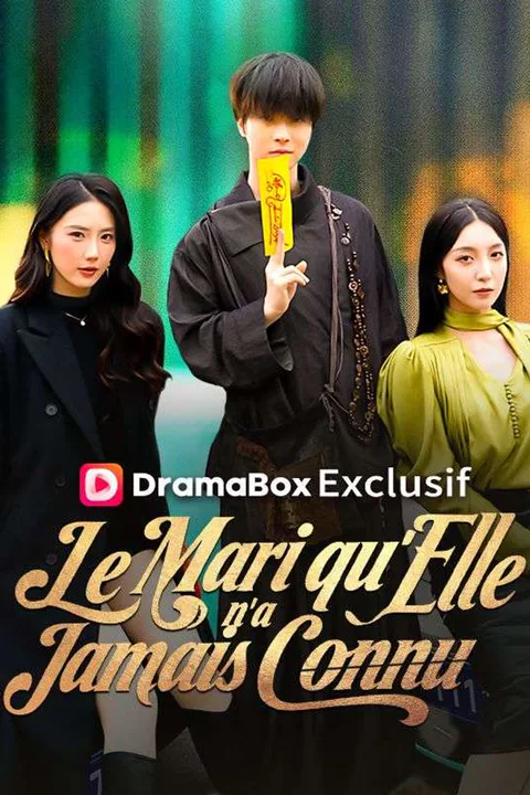 Affiche du Mari qu'Elle n'a Jamais Connu (Doublé)