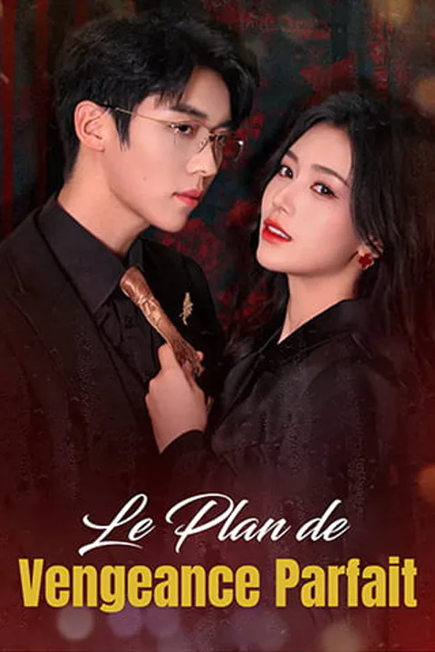 Affiche du Plan de Vengeance Parfait