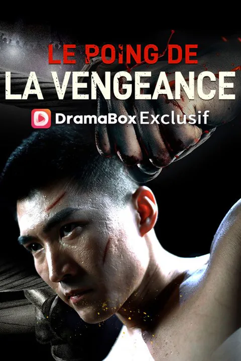 Affiche du Poing de la Vengeance
