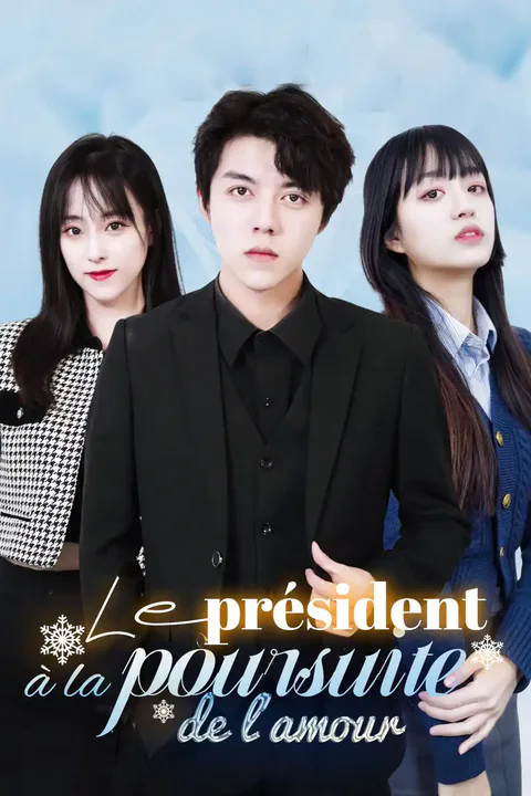 Affiche du président à la poursuite de l'amour