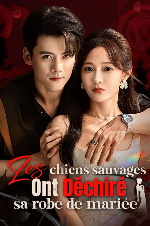 Affiche des chiens sauvages ont déchiré sa robe de mariée