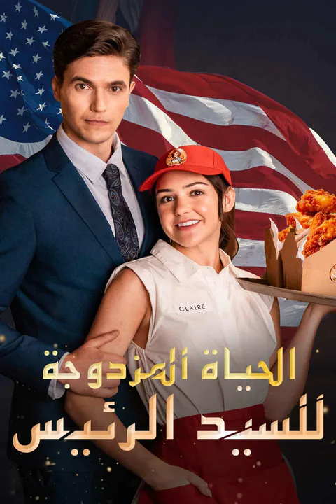 ملصق الحياة المزدوجة للسيد الرئيس