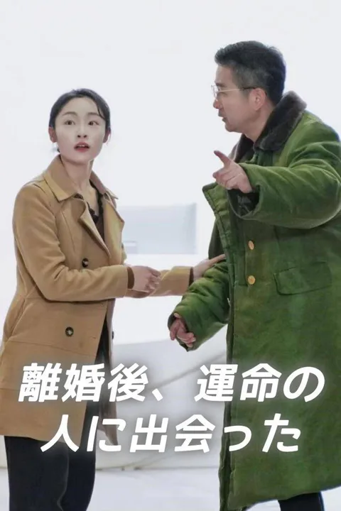 離婚後、運命の人に出会ったのポスター