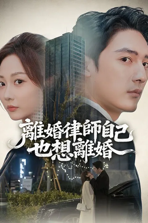 《離婚律師自己也想離婚》海報