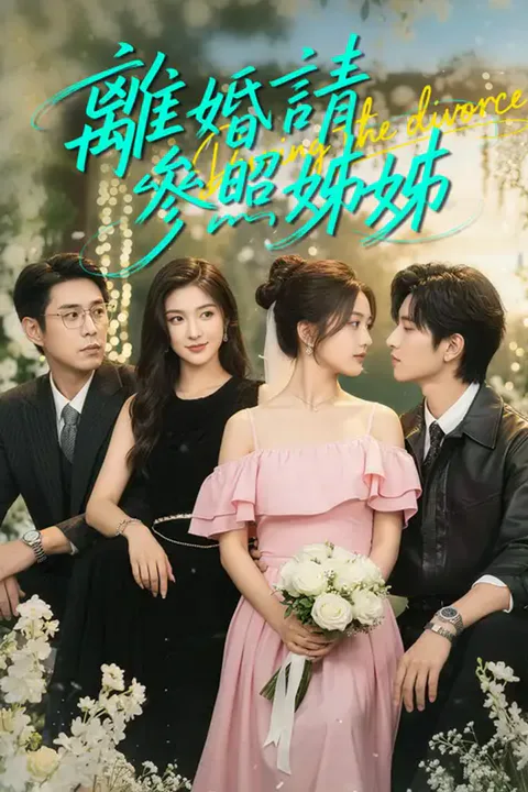 《離婚請參照姊姊》海報
