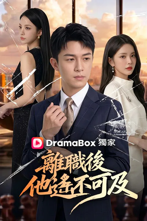 《離職後，他遙不可及》海報