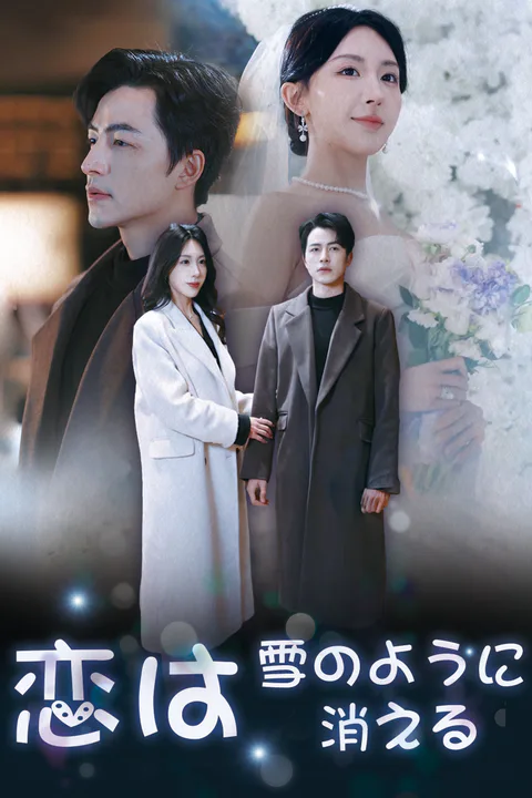 恋は雪のように消えるのポスター