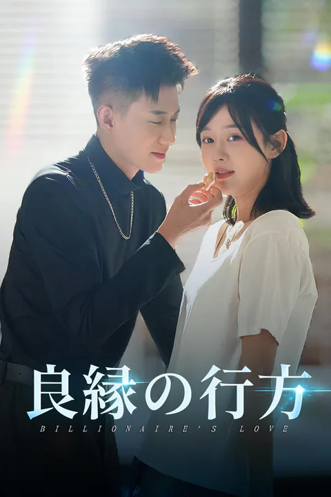 良縁の行方のポスター