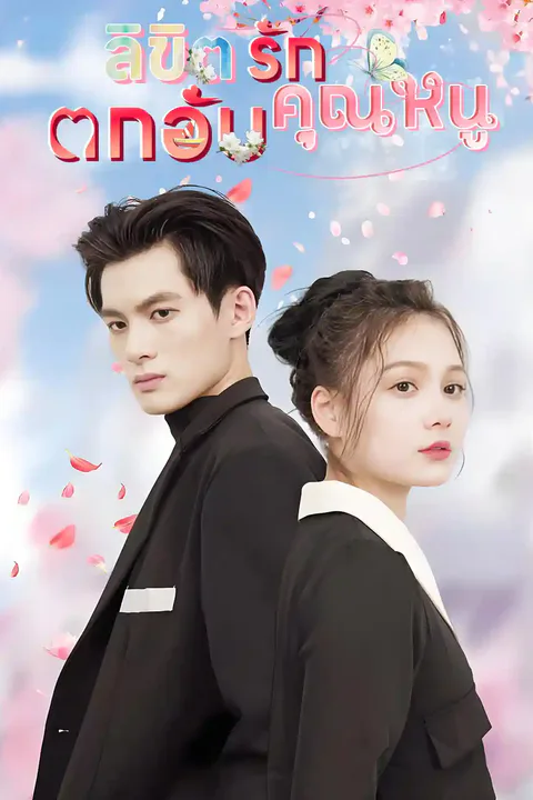 โปสเตอร์ ลิขิตรักคุณหนูตกอับ
