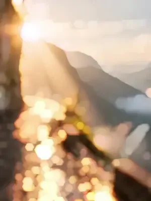 Lina sistemle ormandan zengin afişi