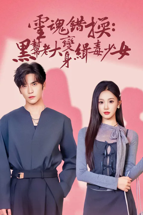 《靈魂錯換：黑幫老大變身緝毒少女》海報