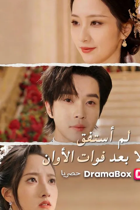 ملصق لم أستفق إلا بعد فوات الأوان