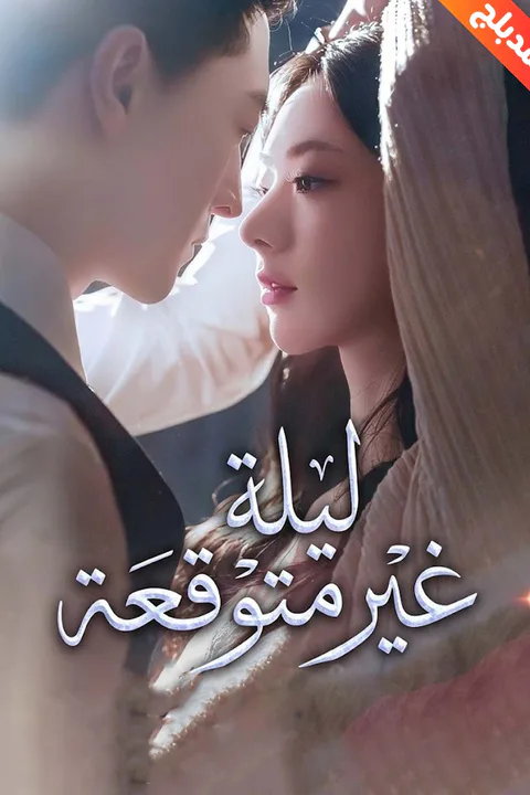 ملصق ليلة غير متوقعة (مدبلج)