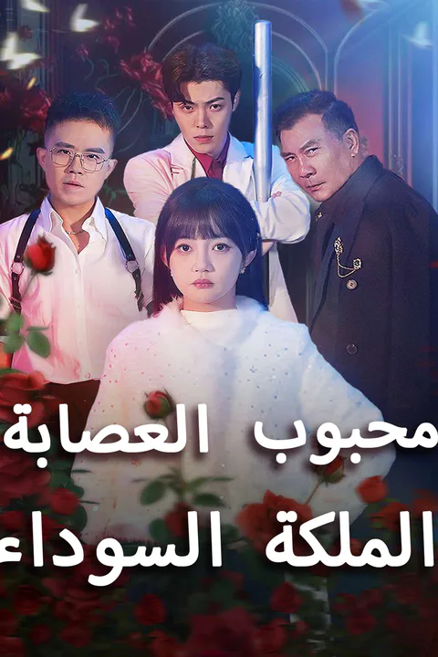 ملصق الملكة السوداء محبوب العصابة