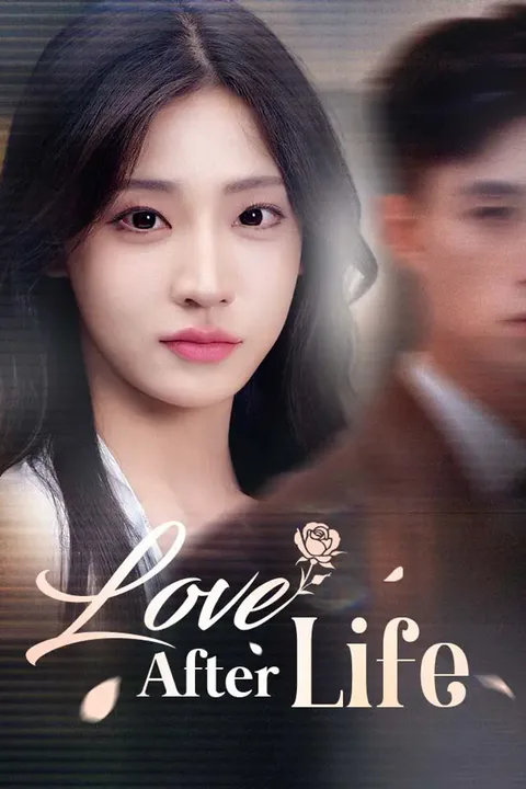 Love After Life poster
