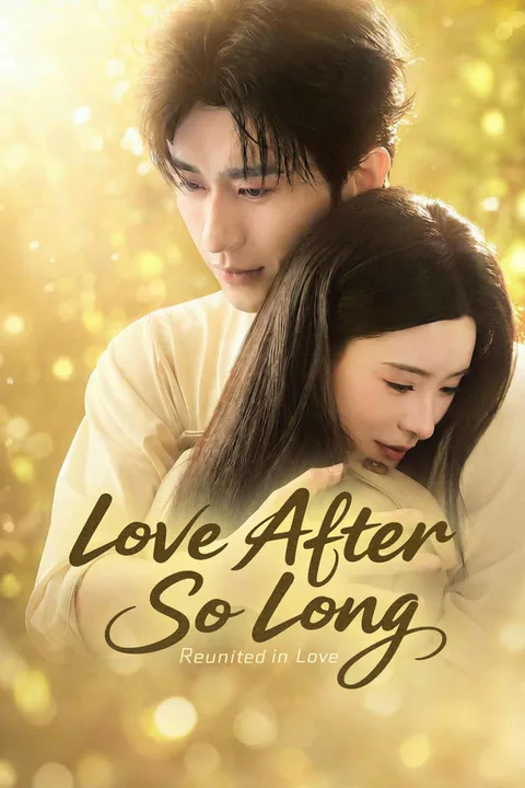 Love After So Long poster