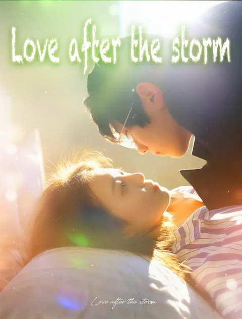 Love after the storm poster