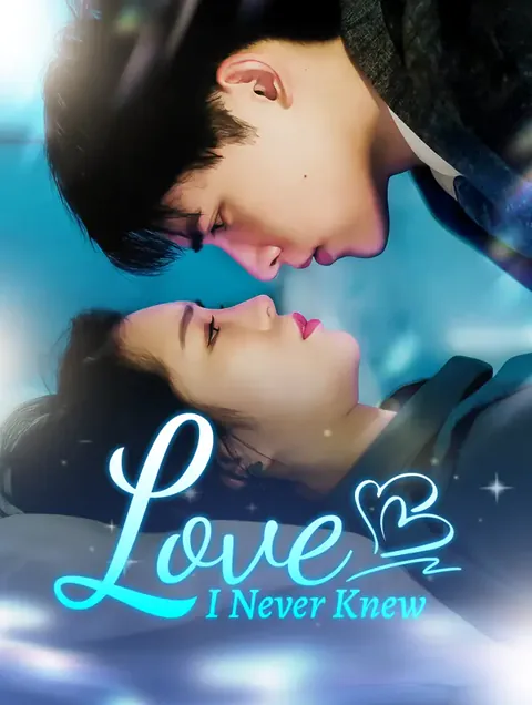 Love I Never Knew poster