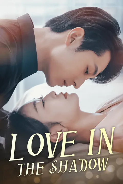Love in the shadows poster