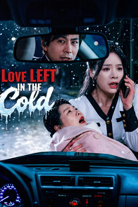 Love Left in the Cold(Dubbed) poster