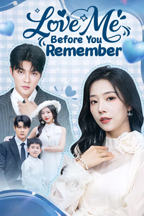 Love Me Before You Remember poster