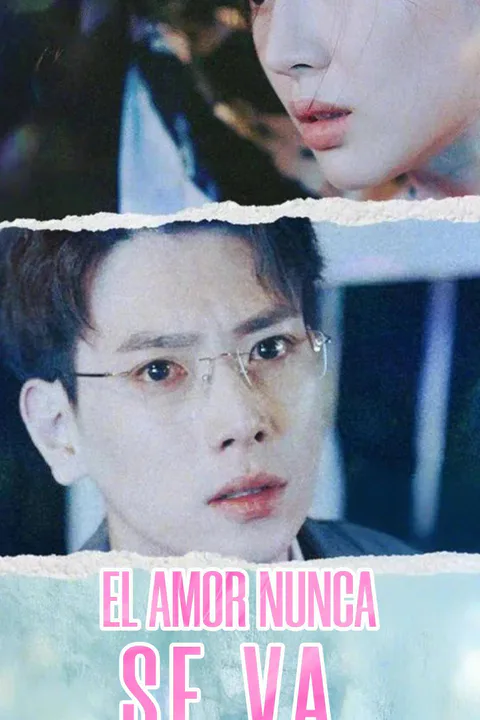 Love Never Leaves poster