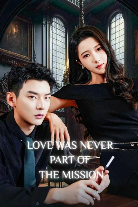 Love Was Never Part of the Mission poster