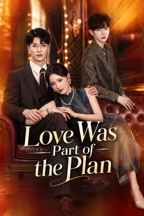 Love Was Part of the Plan poster