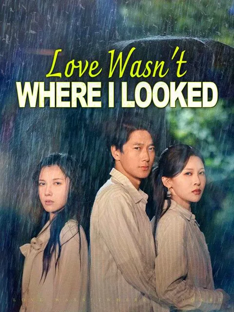 Love Wasn't Where I Looked(DUBBED) poster