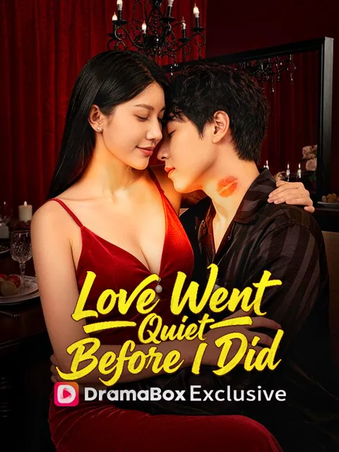 Love Went Quiet Before I Did poster