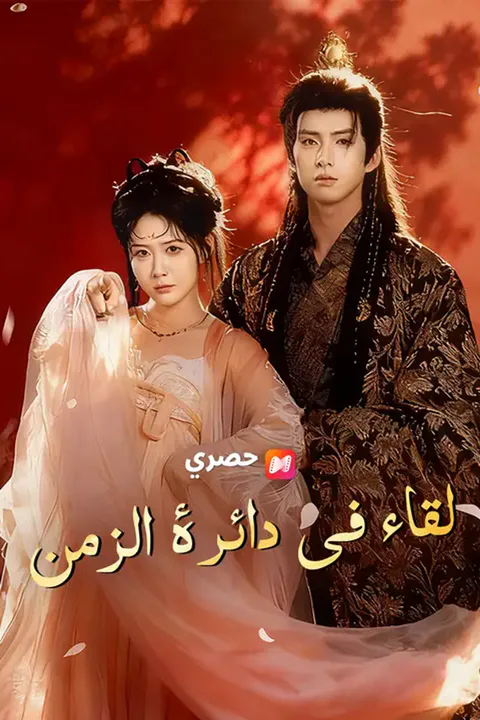 ملصق لقاء في دائرة الزمن
