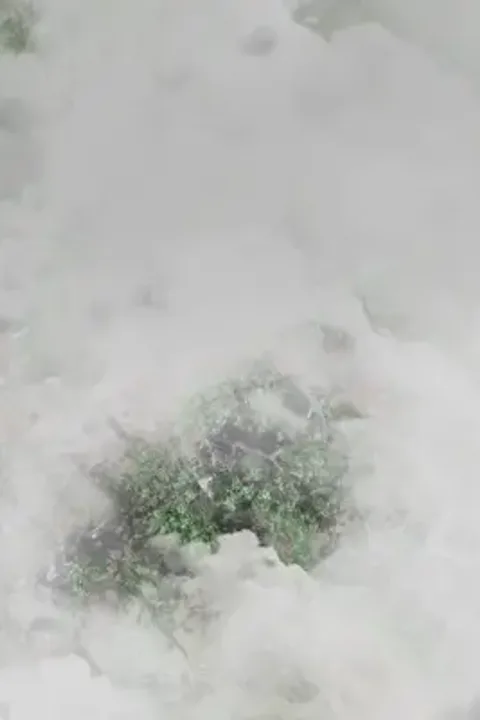 ملصق الشيطان الصغير يحمي والدته