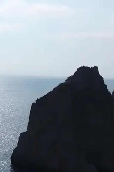 ملصق السقوط في البحر: أصبحت حاكم المحيط