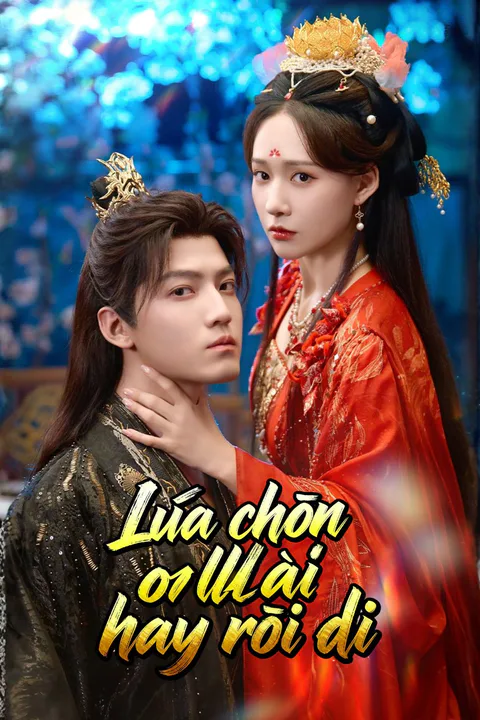 Poster Lựa chọn ở lại hay rời đi