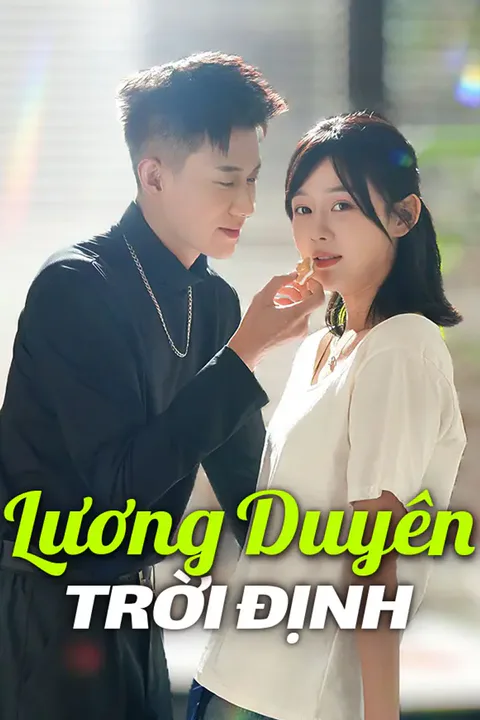Poster Lương Duyên Trời Định