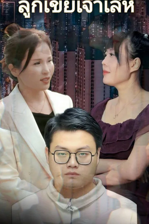 โปสเตอร์ ลูกเขยเจ้าเล่ห์